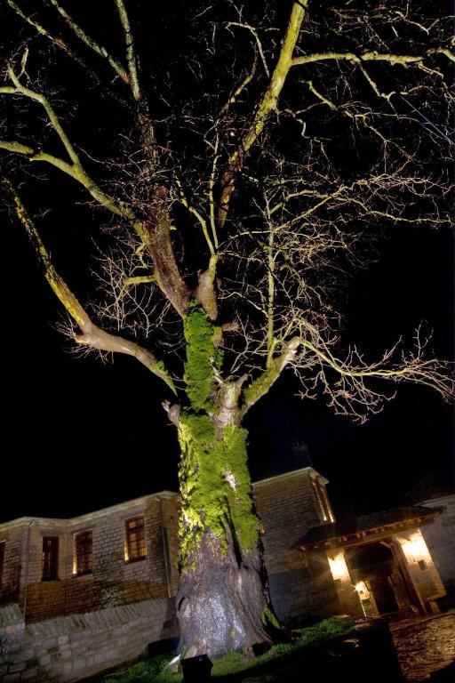 Archontiko Geki 1876 Hotell Papigkon Exteriör bild